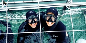 Haaiduik met Slashfin van Wilfred Chivell